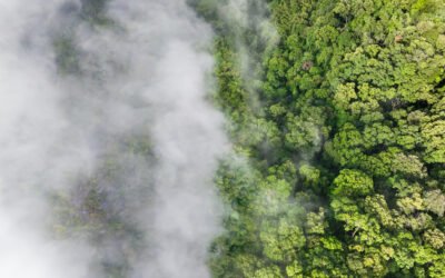 GHG Protokolü Kapsam 3 Emisyonları Nelerdir?